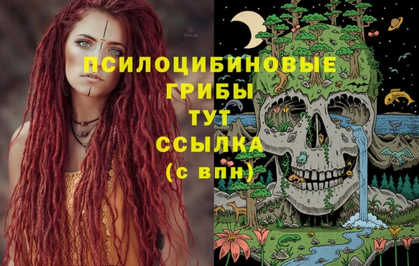мет Аркадак