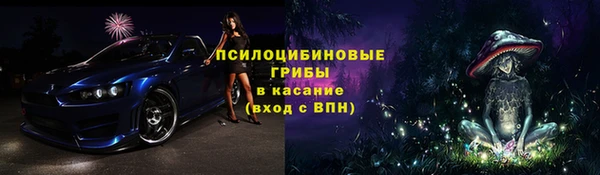 гидра Армянск