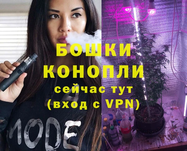 гидра Армянск