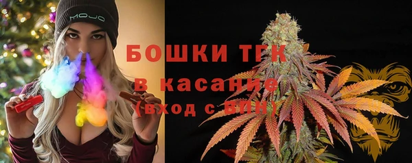 ешки Арсеньев