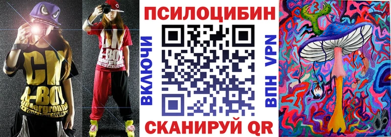 МЕГА ТОР Луга Галлюциногенные грибы мицелий