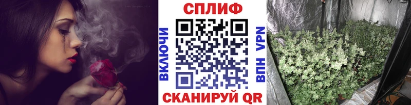 Бошки Шишки ГИДРОПОН  Луга 